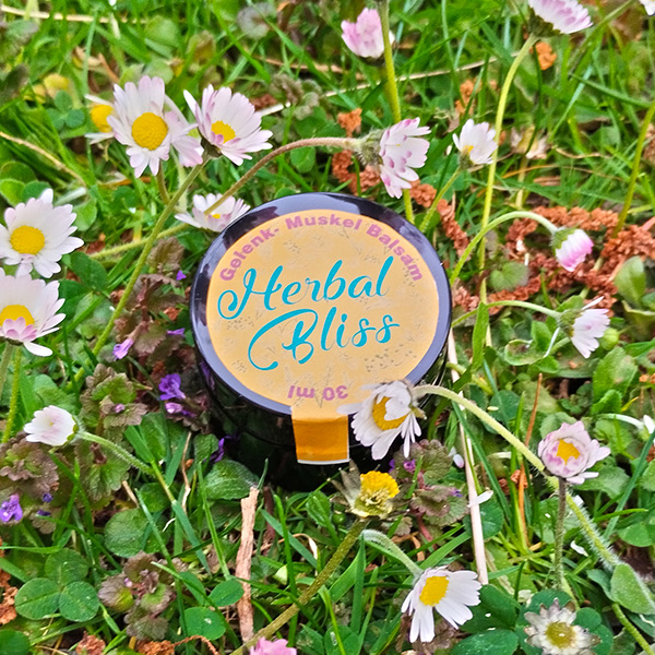 Gelenk_Muskel_Balsam_600px.jpg